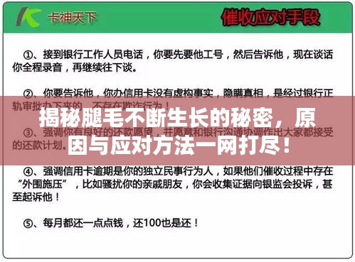 揭秘腿毛不断生长的秘密，原因与应对方法一网打尽！