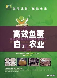 高效鱼蛋白，农业新时代的新选择，引领绿色革命之路