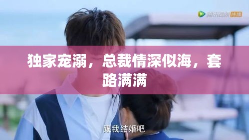 独家宠溺，总裁情深似海，套路满满