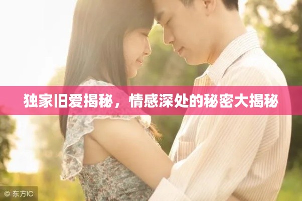 独家旧爱揭秘，情感深处的秘密大揭秘