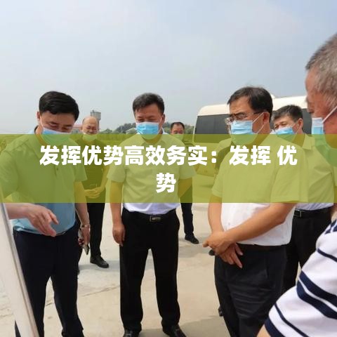 发挥优势高效务实：发挥 优势 