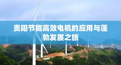 贵阳节能高效电机的应用与蓬勃发展之旅