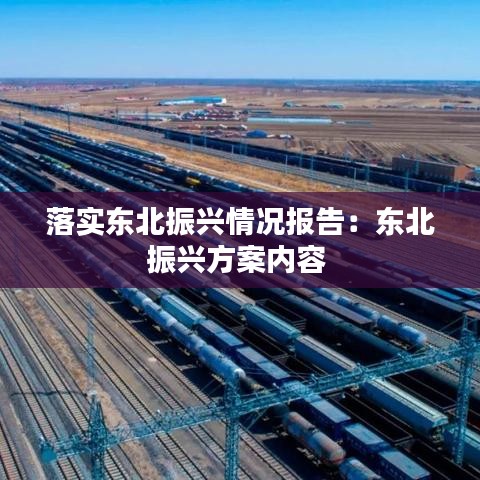 落实东北振兴情况报告：东北振兴方案内容 