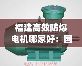 福建高效防爆电机哪家好：国内防爆电机知名品牌 