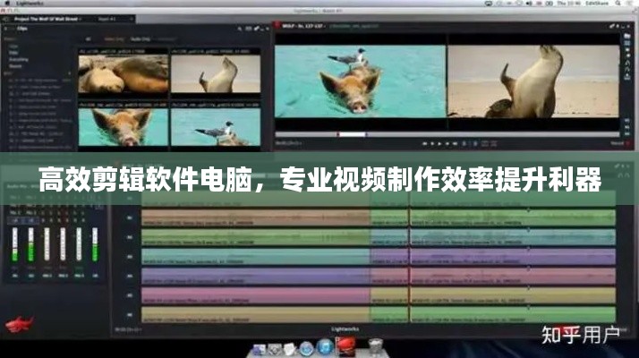 高效剪辑软件电脑，专业视频制作效率提升利器