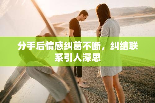 分手后情感纠葛不断，纠结联系引人深思