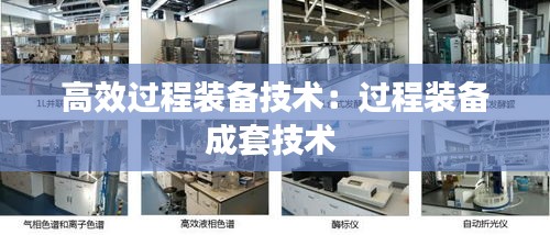 高效过程装备技术：过程装备成套技术 