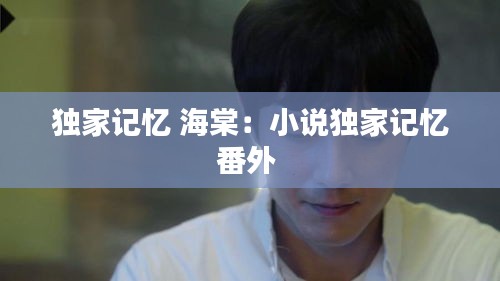 独家记忆 海棠：小说独家记忆番外 