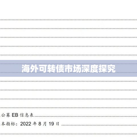 海外可转债市场深度探究