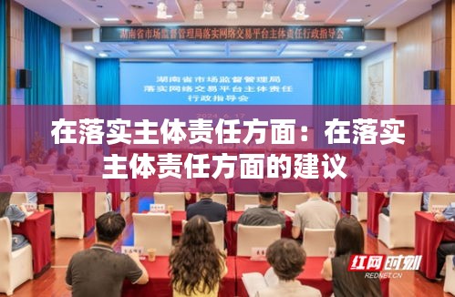 在落实主体责任方面：在落实主体责任方面的建议 