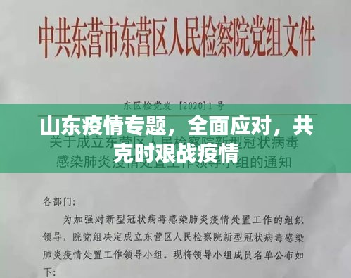 山东疫情专题，全面应对，共克时艰战疫情