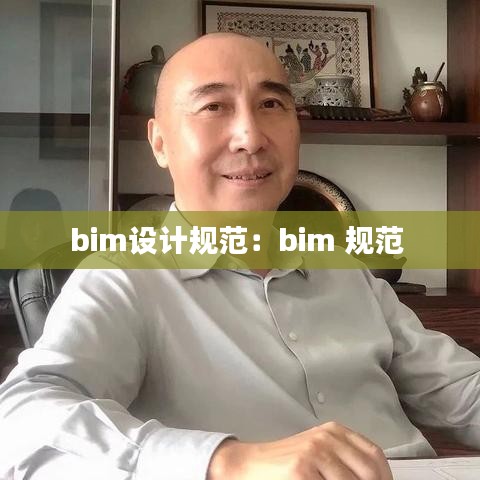 bim设计规范：bim 规范 