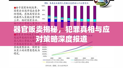 器官贩卖揭秘，犯罪真相与应对策略深度报道