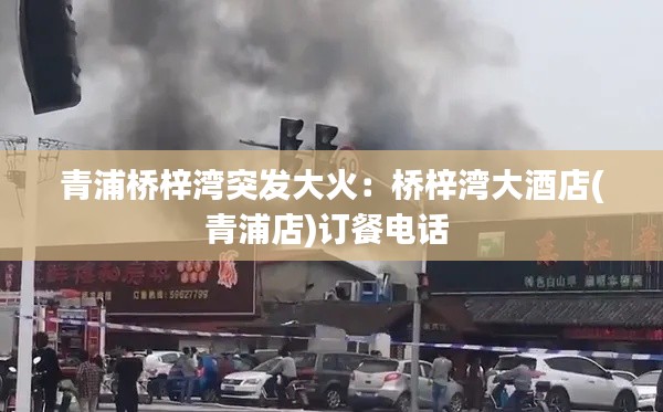 青浦桥梓湾突发大火：桥梓湾大酒店(青浦店)订餐电话 