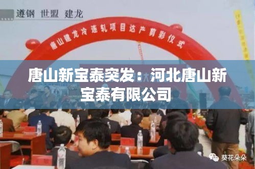 唐山新宝泰突发：河北唐山新宝泰有限公司 
