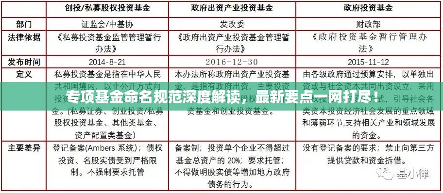 专项基金命名规范深度解读，最新要点一网打尽！