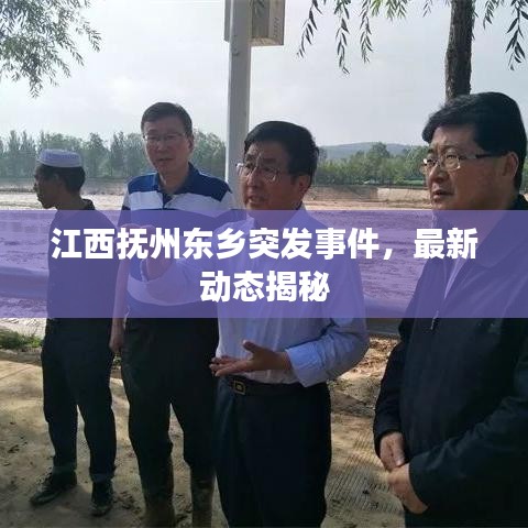江西抚州东乡突发事件，最新动态揭秘