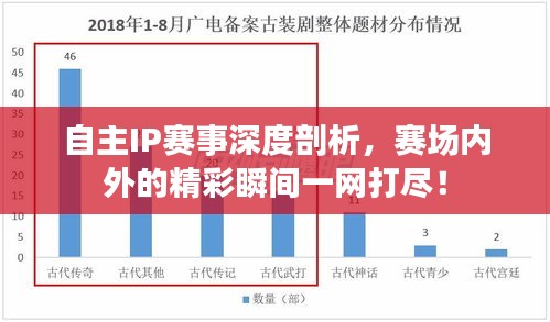 自主IP赛事深度剖析，赛场内外的精彩瞬间一网打尽！
