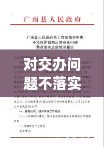 对交办问题不落实：交办问题整改报告 