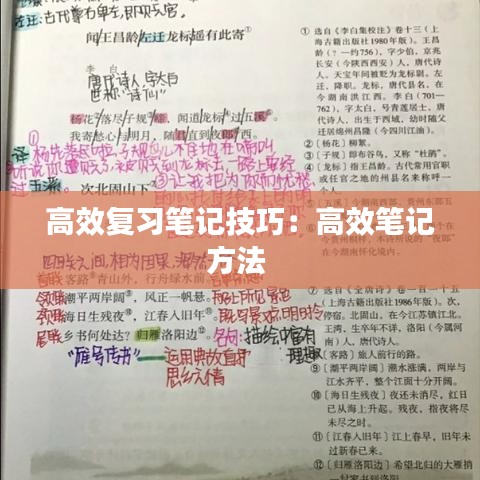 高效复习笔记技巧：高效笔记方法 