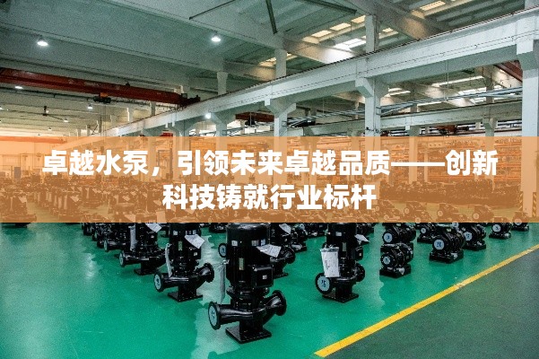 卓越水泵，引领未来卓越品质——创新科技铸就行业标杆