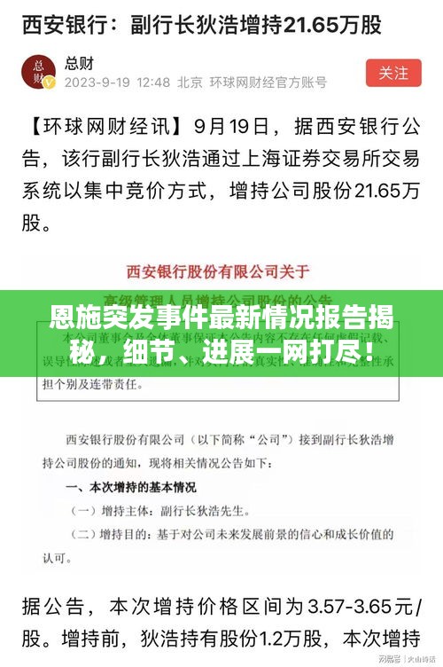 恩施突发事件最新情况报告揭秘，细节、进展一网打尽！