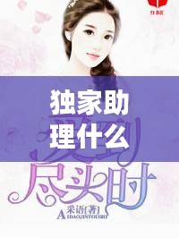 独家助理什么意思：独家助理 小说 