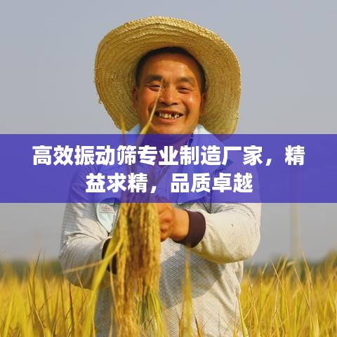 高效振动筛专业制造厂家，精益求精，品质卓越