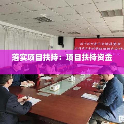 落实项目扶持：项目扶持资金 