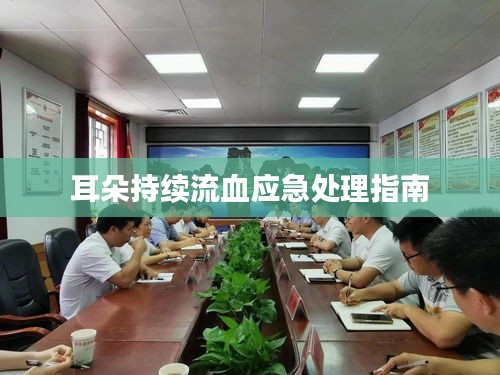 耳朵持续流血应急处理指南