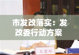 市发改落实：发改委行动方案 