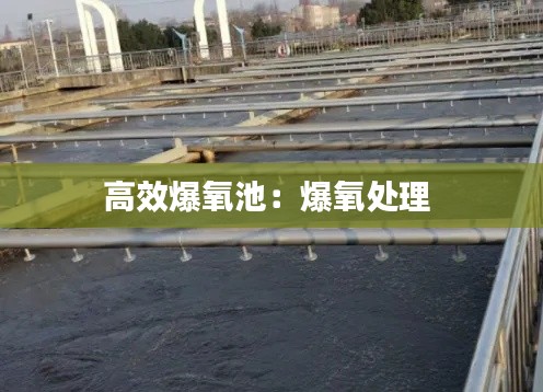 高效爆氧池：爆氧处理 