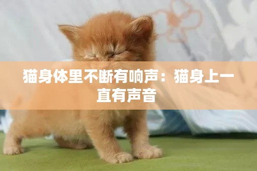 猫身体里不断有响声：猫身上一直有声音 