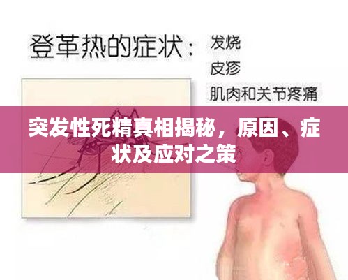 突发性死精真相揭秘，原因、症状及应对之策