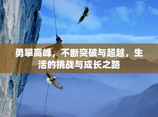 勇攀高峰，不断突破与超越，生活的挑战与成长之路