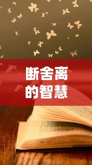 断舍离的智慧，人生的选择与放下之道