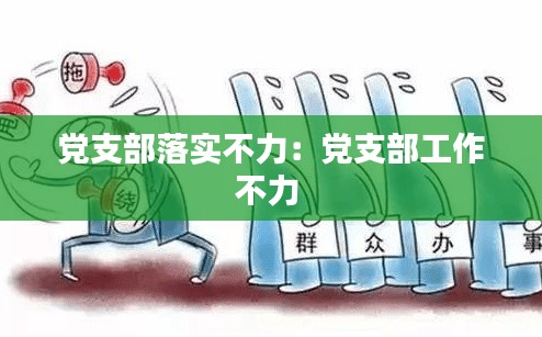 党支部落实不力：党支部工作不力 