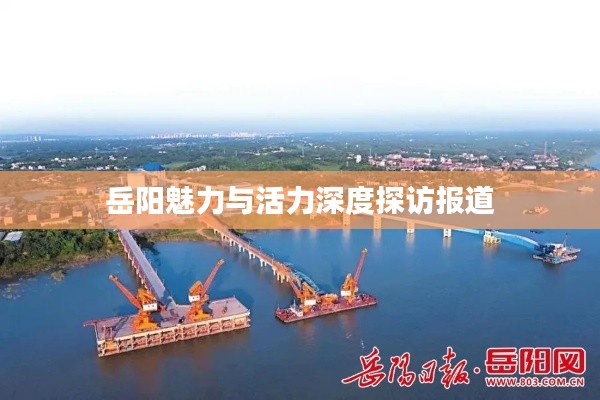 岳阳魅力与活力深度探访报道