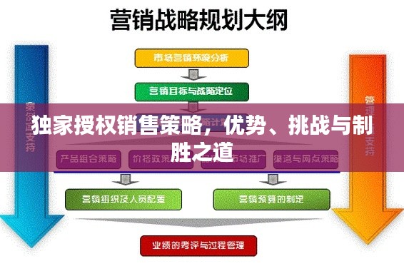 独家授权销售策略，优势、挑战与制胜之道