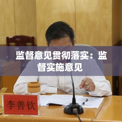 监督意见贯彻落实：监督实施意见 
