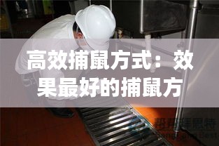 高效捕鼠方式：效果最好的捕鼠方法 