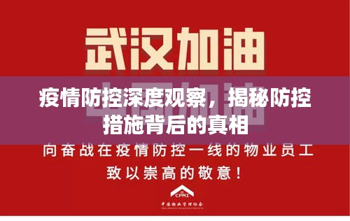 疫情防控深度观察，揭秘防控措施背后的真相