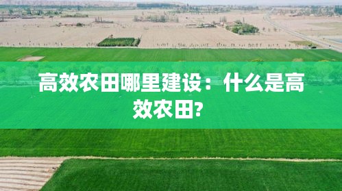 七贵五侯 第3页