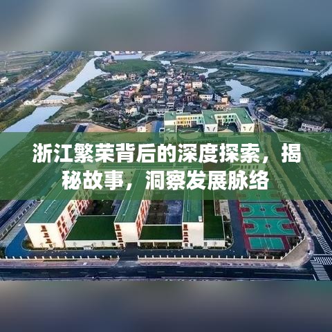 浙江繁荣背后的深度探索，揭秘故事，洞察发展脉络