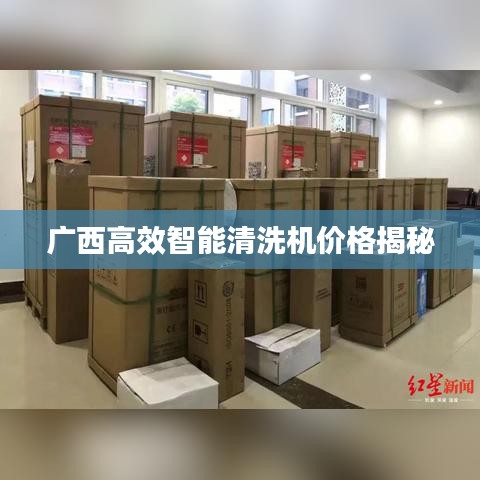 广西高效智能清洗机价格揭秘