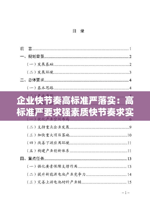 企业快节奏高标准严落实：高标准严要求强素质快节奏求实效 