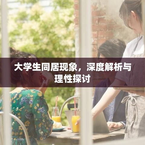 大学生同居现象，深度解析与理性探讨