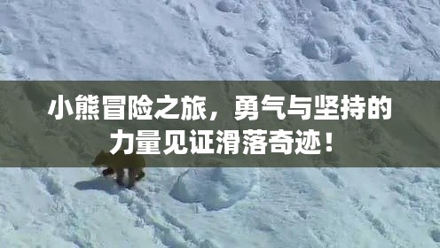 小熊冒险之旅，勇气与坚持的力量见证滑落奇迹！
