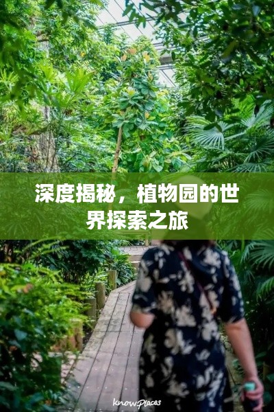深度揭秘，植物园的世界探索之旅