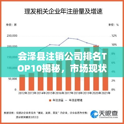 会泽县注销公司排名TOP10揭秘，市场现状与发展趋势深度剖析